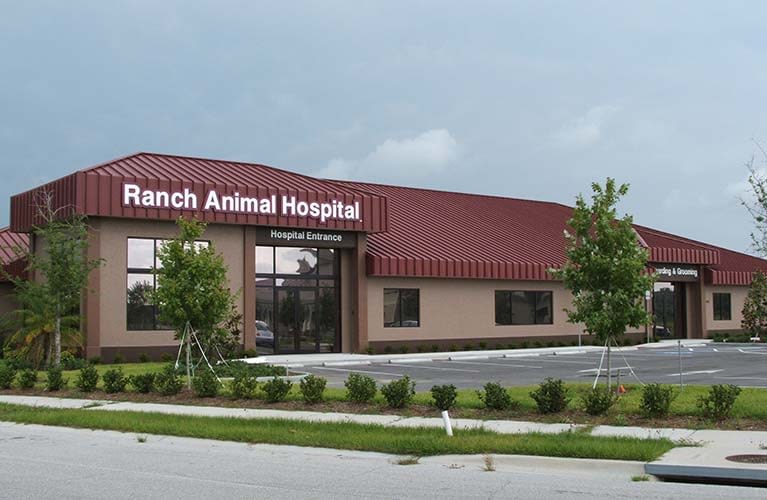 Ranch Animal Hospital Halfacre Construction