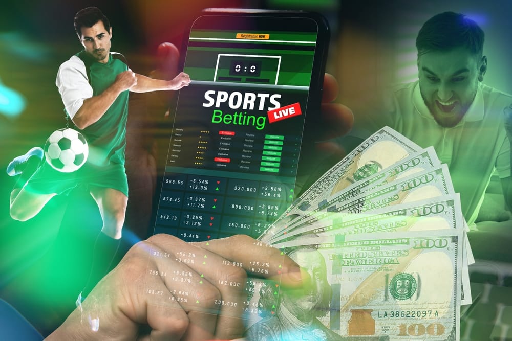 Discover BetWinner Your Ultimate Betting Destination