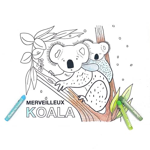 coloriage-koala-petit-bloom