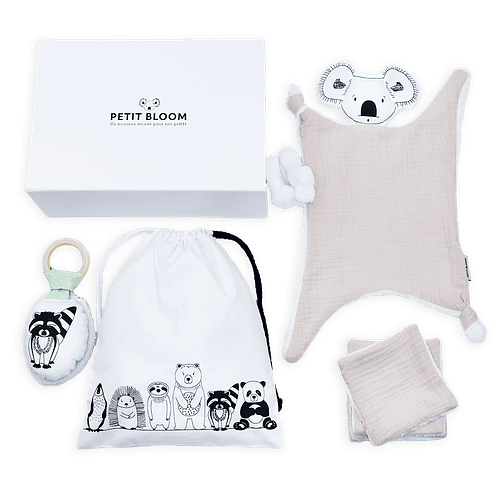 coffret-cadeau-naissance-personnalisé-koala-petit-bloom