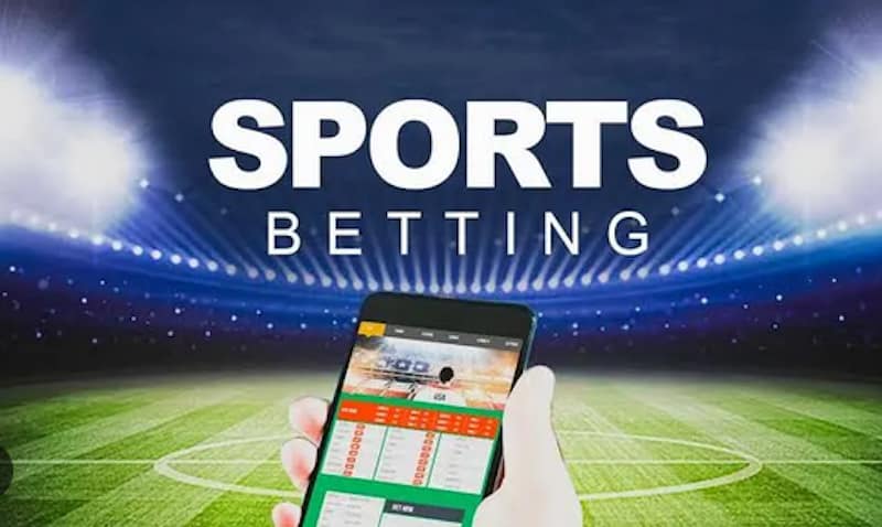 Discover BetWinner Your Ultimate Betting Destination